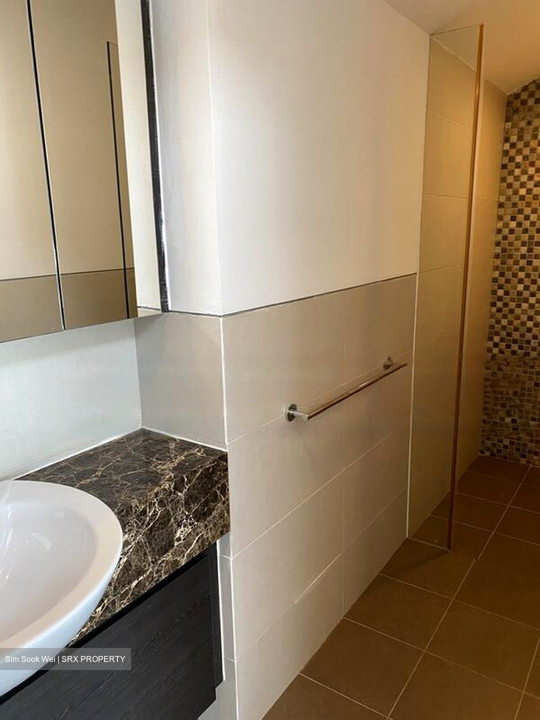 Radiance @ Bukit Timah (D21), Terrace #466559981